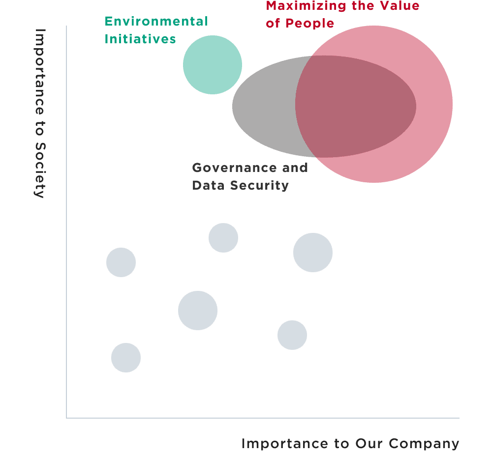 Identify issues and confirm their importance