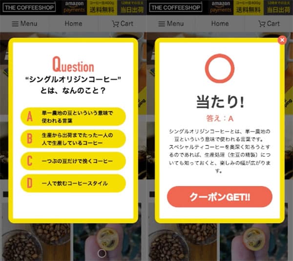quiz.jpeg